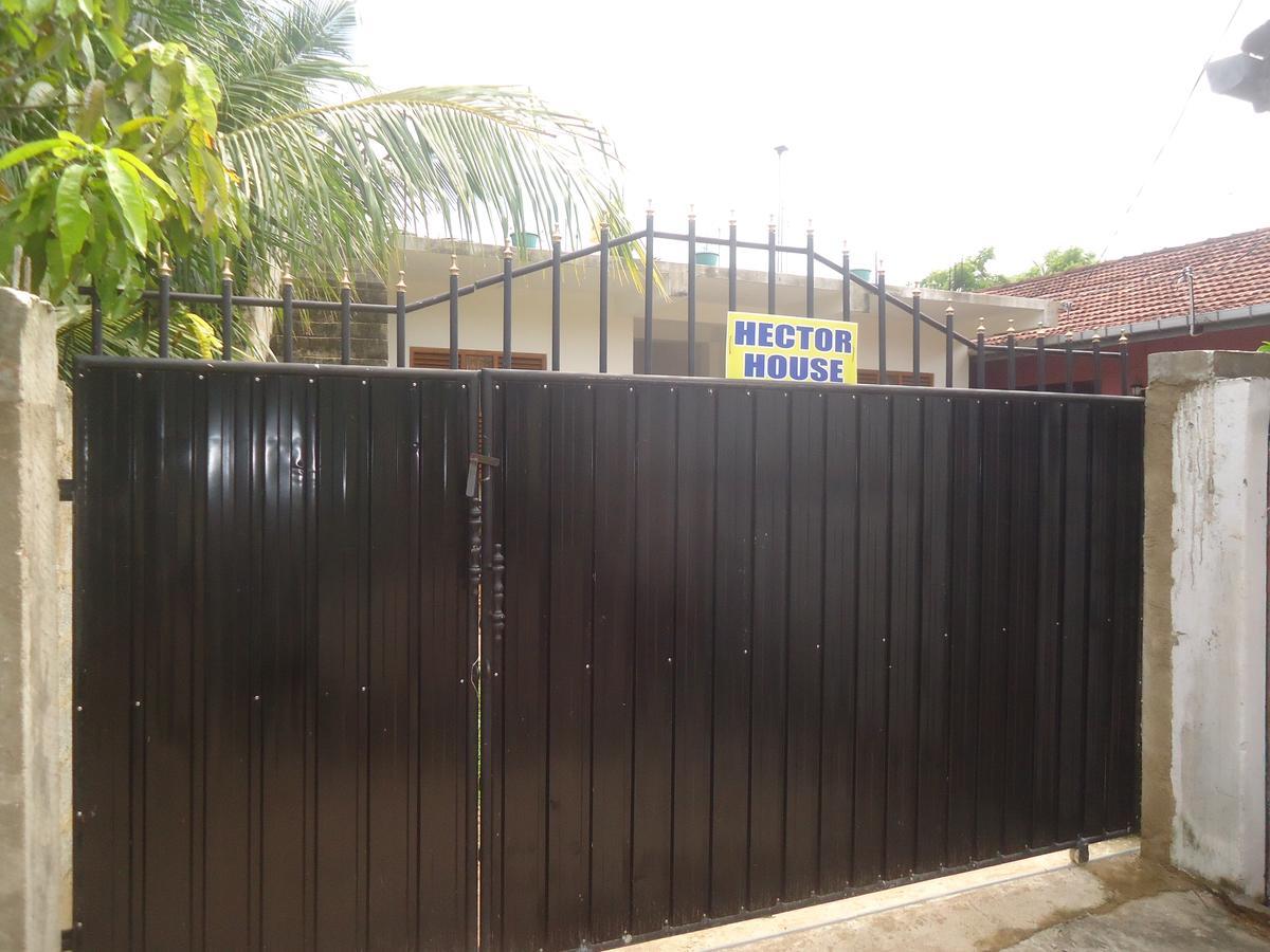 فندق Hector House فيليغاما المظهر الخارجي الصورة